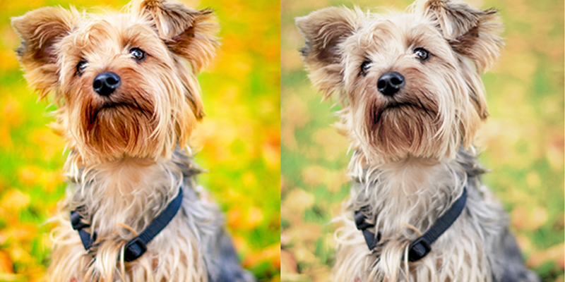 杰科(GIEC)蓝光DVD 3D播放机 5.1声道 高清HDMI影碟机CD/VCD USB光盘